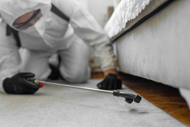 Professional Bed Bug Control technician working in Burkburnett, TX