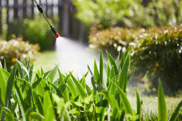 24/7 Emergency Bed Bug Control experts in Burkburnett, TX