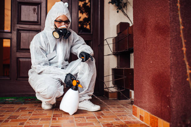 Reliable Bed Bug Control contractor in Burkburnett, TX by Nex Pest Control