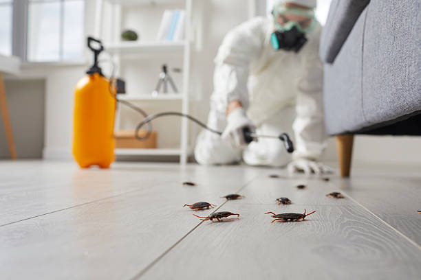 Trusted Emergency Pest Control service in Burkburnett, TX - Nex Pest Control