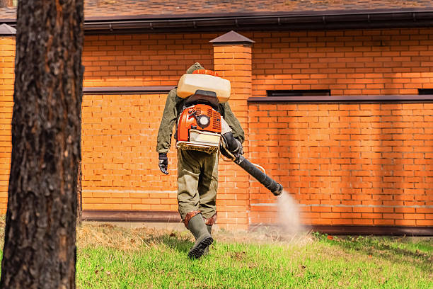 Trusted Bed Bug Control service in Burkburnett, TX - Nex Pest Control